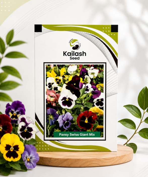 Pansy Swiss Giant Mix